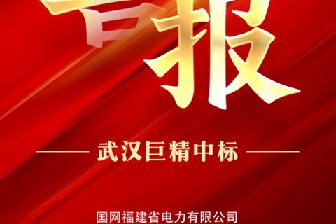 热烈祝贺918博天堂中标国网福建省电力有限公司2022年第一次非电网零星物资框架竞争性谈判采购项目