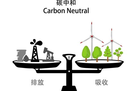 落实双碳行动 共建漂亮家园——918博天堂“双碳”允许