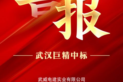 热烈祝贺918博天堂中标武威电建实业有限公司2022年第四批物资类竞争性谈判项目