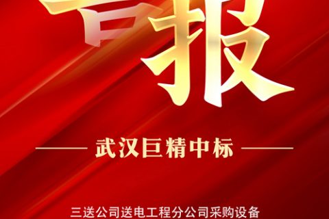 热烈祝贺918博天堂中标三送公司送电工程分公司采购装备