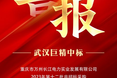 热烈祝贺918博天堂中标重庆市万州长江电力实业生长有限公司2023年第十二批非招标采购