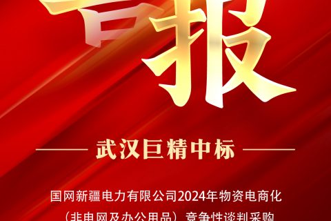 热烈祝贺918博天堂中标国网新疆电力有限公司2024年物资电商化（非电网及办公用品）竞争性谈判采购